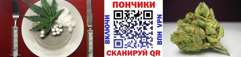 Купить где  Ипатово  Canna-Cookies конопля 