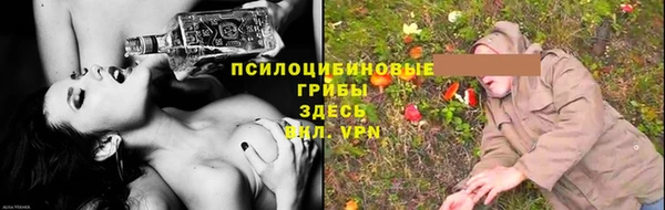дживик Дмитров