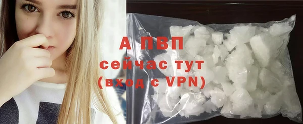 прущая мука Дмитриев