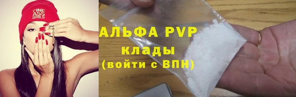 прущая мука Дмитриев