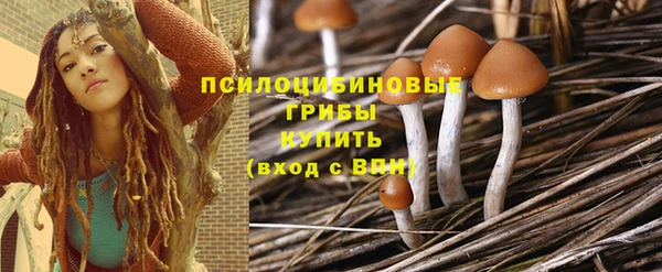 дживик Дмитров
