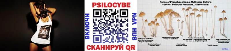 Псилоцибиновые грибы Cubensis  Купить  Ипатово 